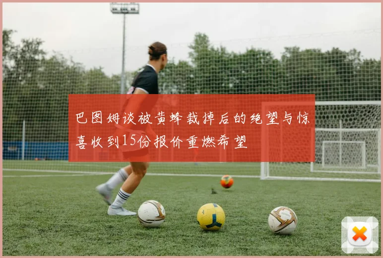 巴图姆谈被黄蜂裁掉后的绝望与惊喜收到15份报价重燃希望