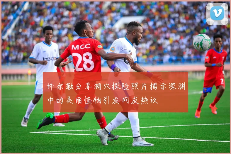 许尔勒分享洞穴探险照片揭示深渊中的美丽怪物引发网友热议